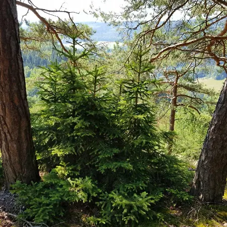 Сasa de vacaciones Boxis