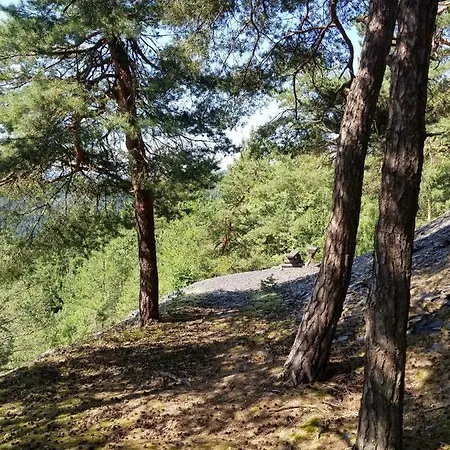 Boxis * Probstzella